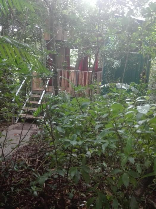 the green tree lodge