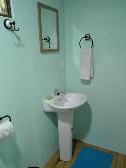 the green tree lodge