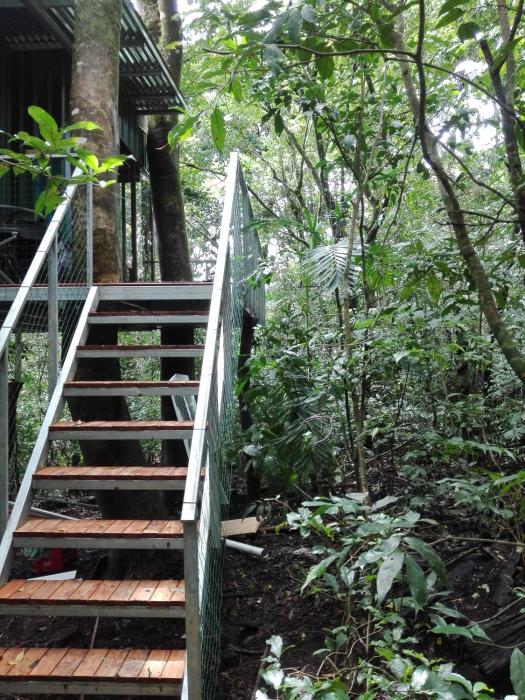 the green tree lodge