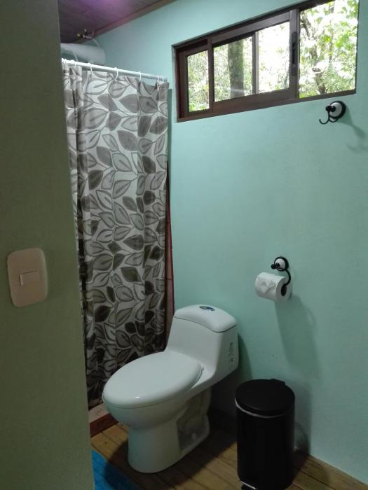 the green tree lodge