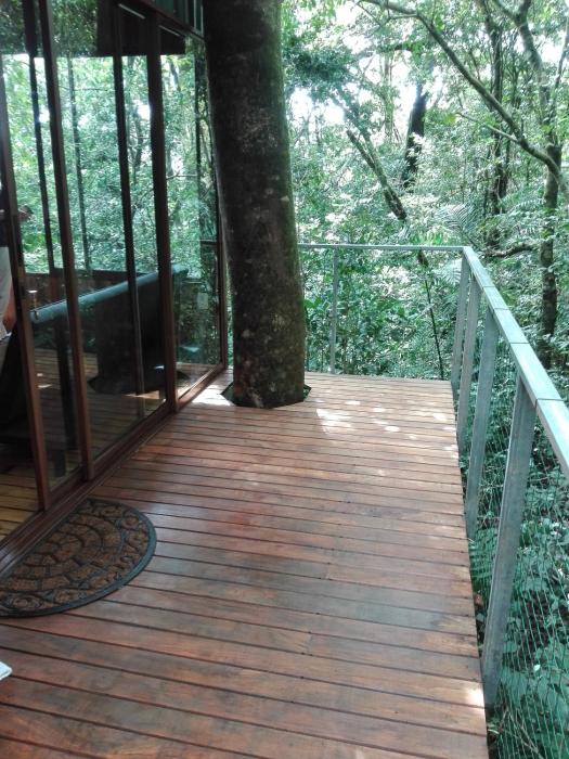 the green tree lodge