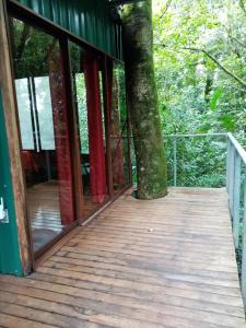 The Green Tree Lodge,Puntarenas>>Monteverde,3 star