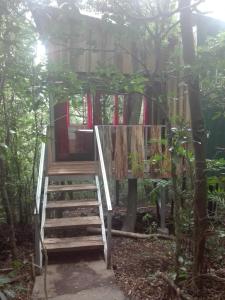 monteverde costa rica