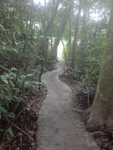 monteverde costa rica