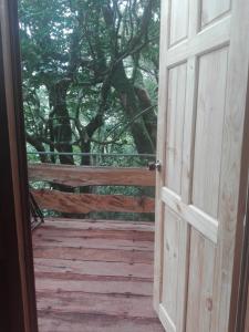 monteverde costa rica