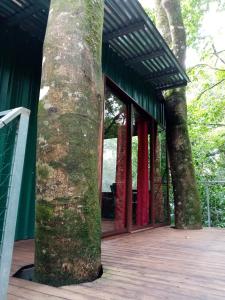 The Green Tree Lodge,Puntarenas>>Monteverde,3 star