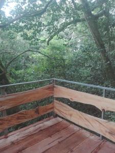 the green tree lodge