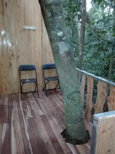 the green tree lodge