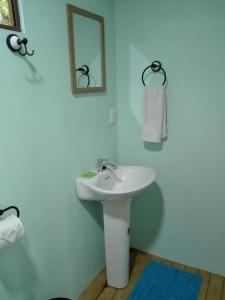 the green tree lodge