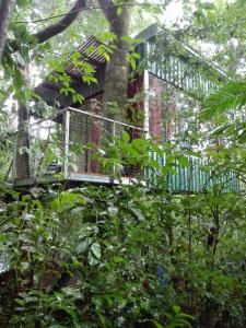 the green tree lodge