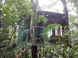 the green tree lodge