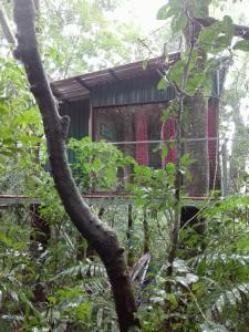 The Green Tree Lodge,Puntarenas>>Monteverde,3 star