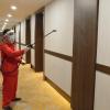 swiss belhotel papua