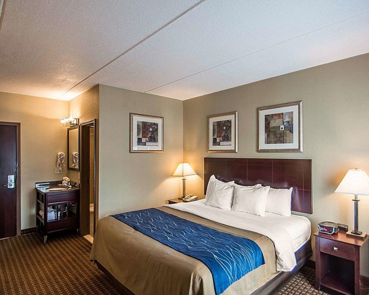 comfort inn rochester monroe avenue