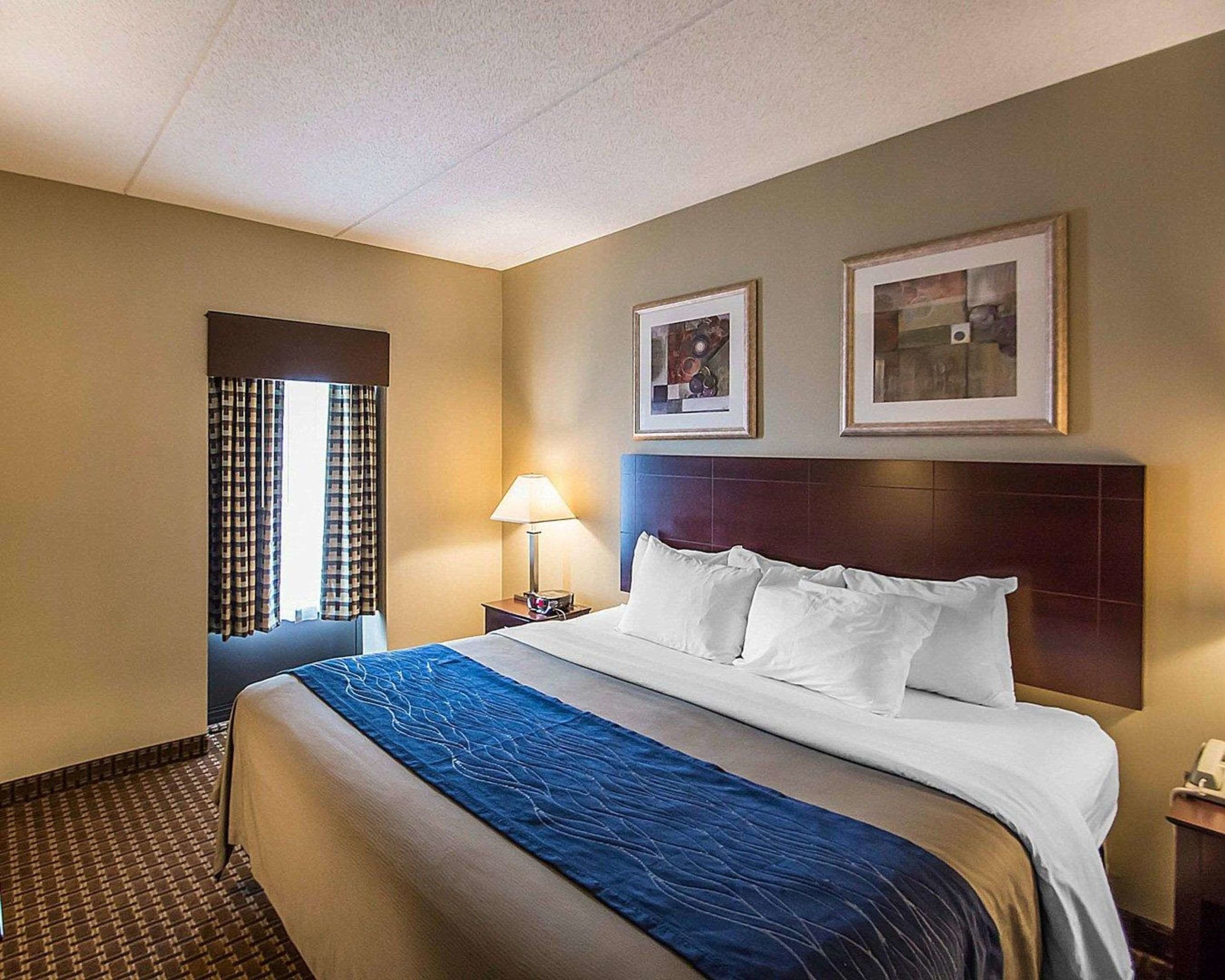 comfort inn rochester monroe avenue