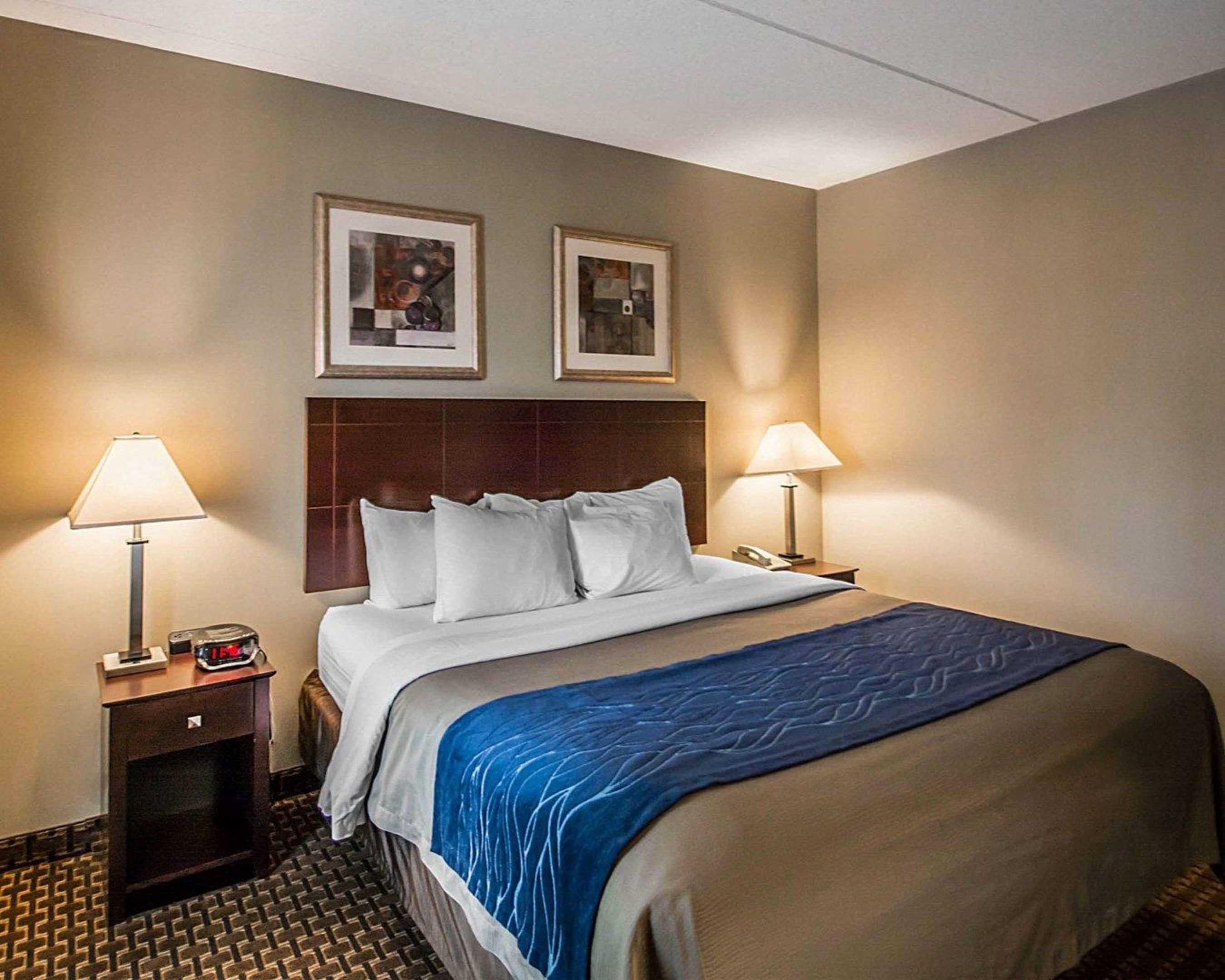 comfort inn rochester monroe avenue