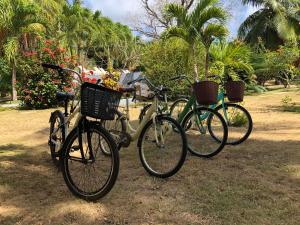 miraflores boutique hotel