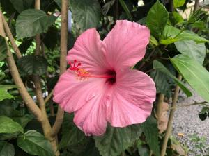 miraflores boutique hotel