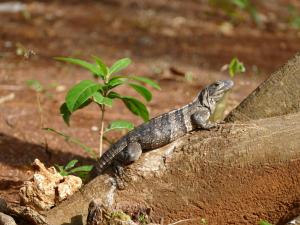 miraflores boutique hotel