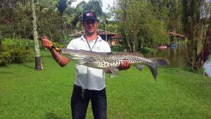 ouro fino