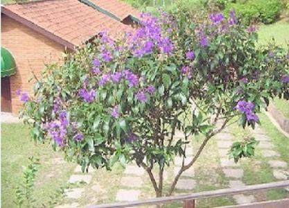 chales pousada serra negra