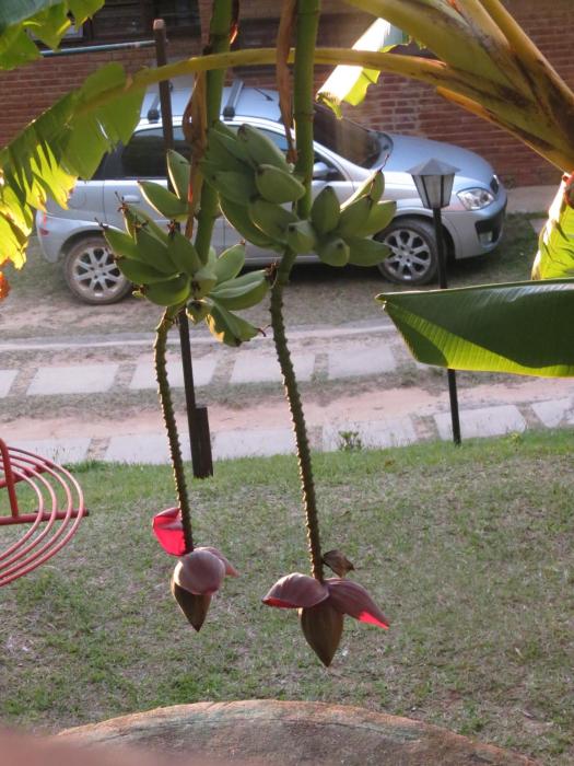 chales pousada serra negra