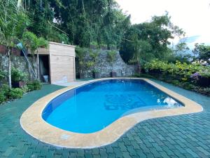 pier uno dive resort powered by cocotel