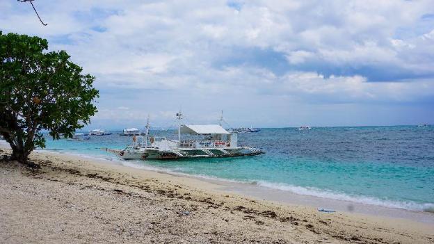 mabuhay thresher dive