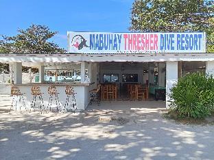 mabuhay thresher dive