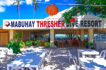 mabuhay thresher dive
