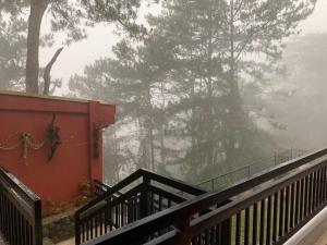 hotel ramiro