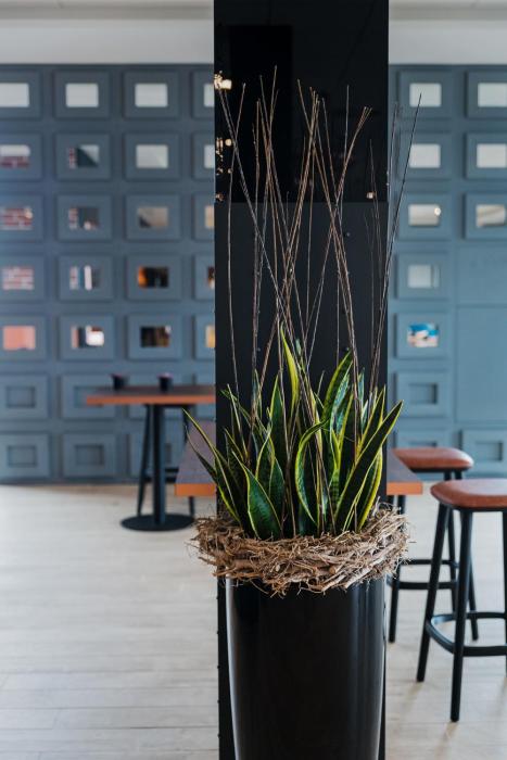 bandb hotel zurich airport rumlang