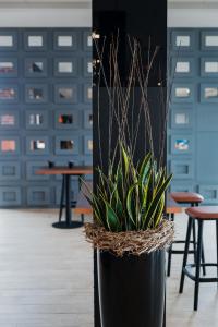 bandb hotel zurich airport rumlang