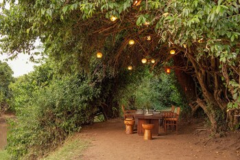 olengoti safari camp east africa camps