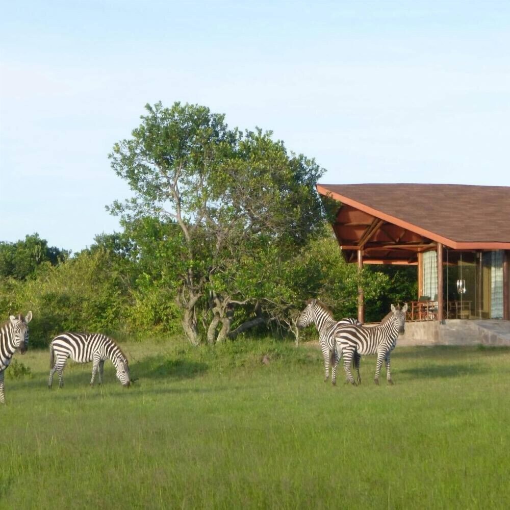 simba and oryx nature camp