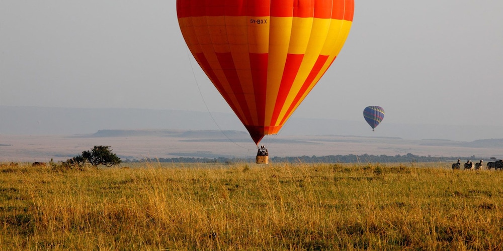 simba and oryx nature camp