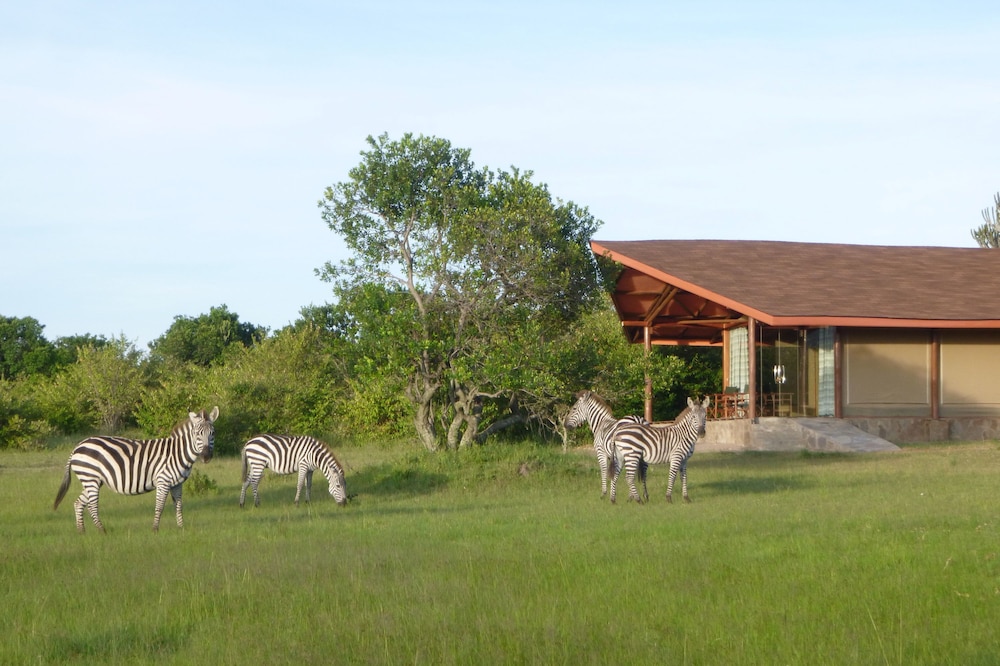 simba and oryx nature camp