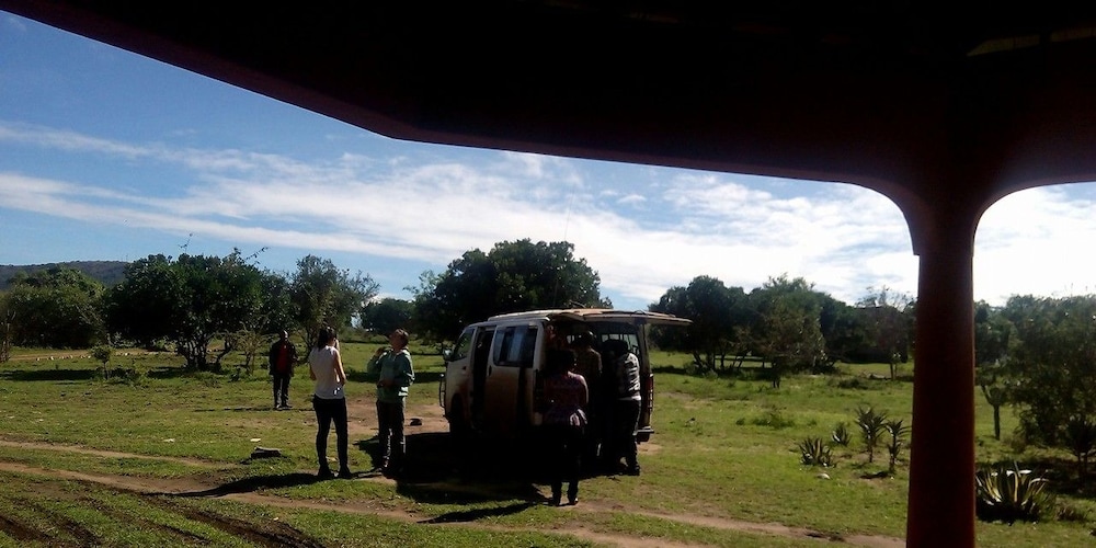 simba and oryx nature camp