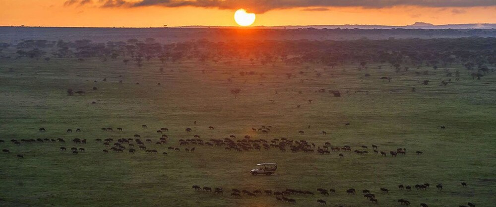 maasai mara