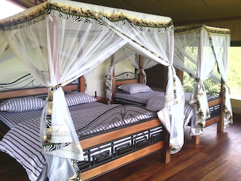 Simba & Oryx Nature Camp,Maasai Mara>>Keekorok,3.5 star