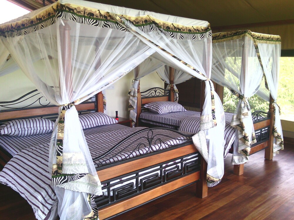 simba and oryx nature camp