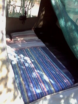 warthogs safari camp