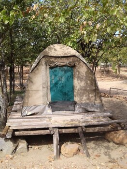 warthogs safari camp