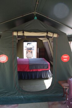 warthogs safari camp