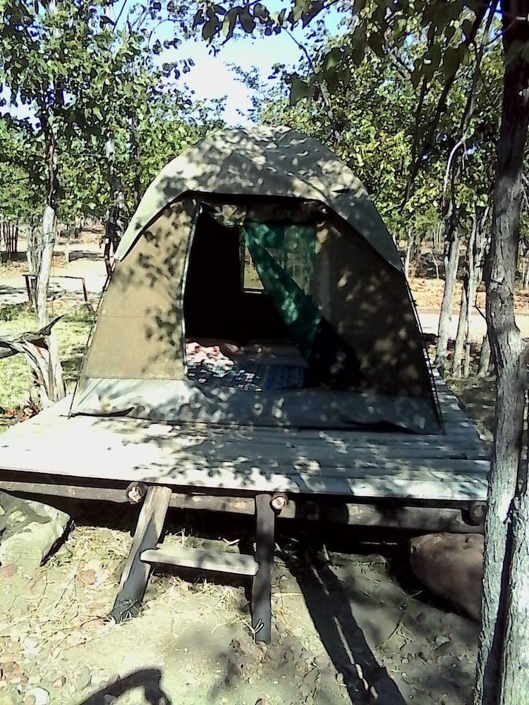warthogs safari camp