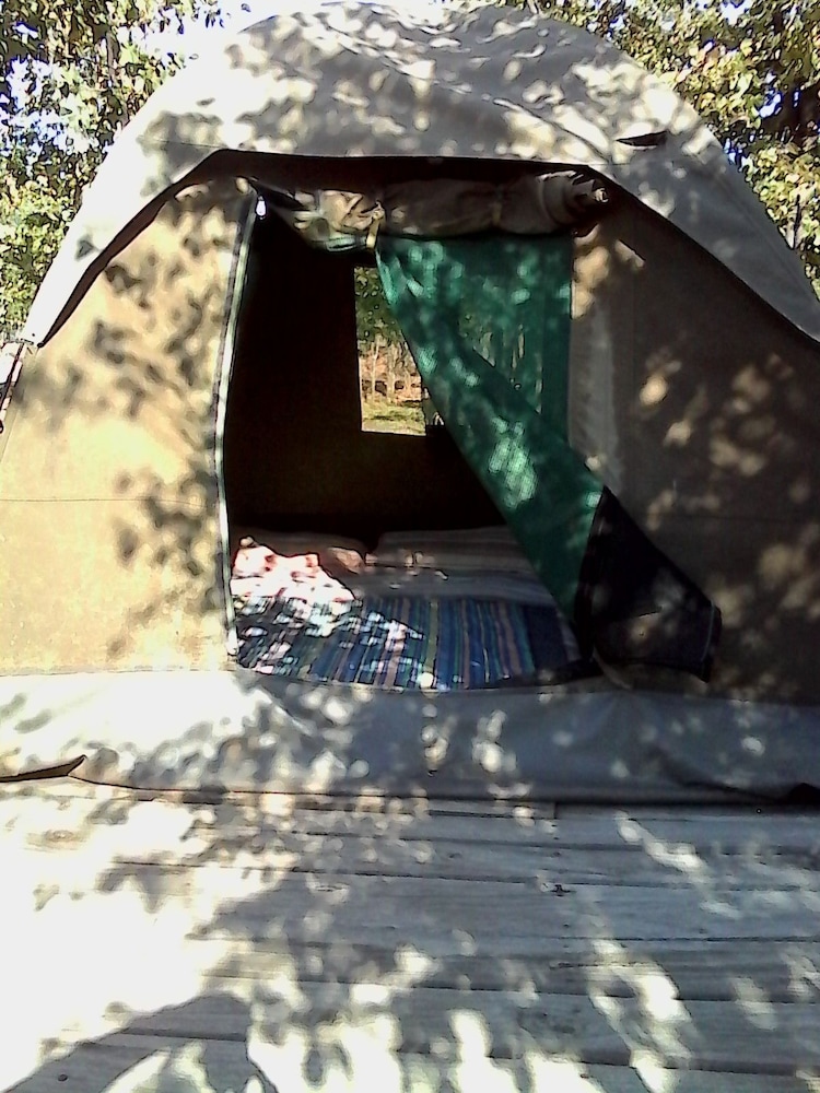 warthogs safari camp