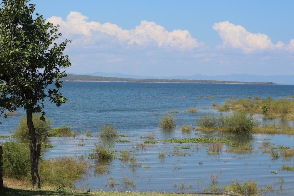 warthogs safari camp