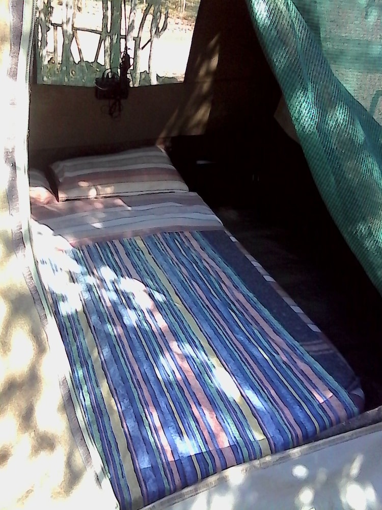 warthogs safari camp