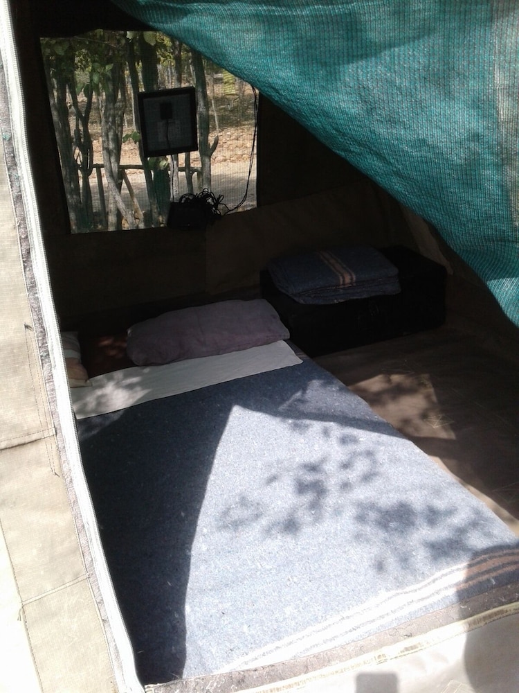 warthogs safari camp