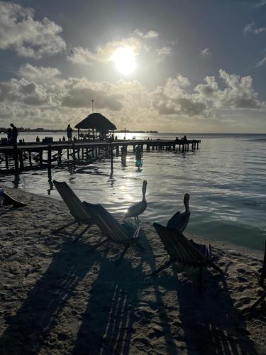 Dream Cabanas,Caye Caulker>>Belize City,2.5 star